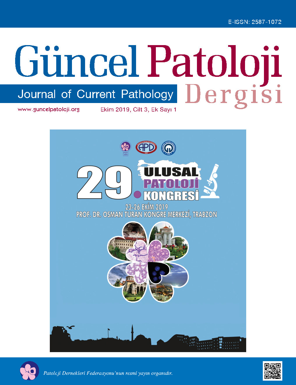 Sayı kapağı
